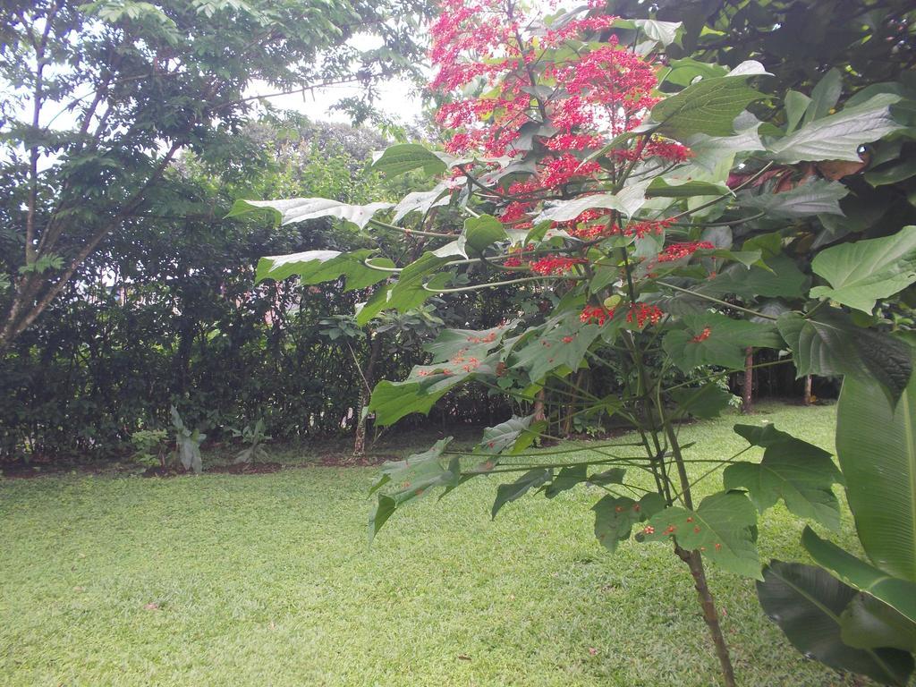 Hotel Tierra Del Fuego La Fortuna Εξωτερικό φωτογραφία