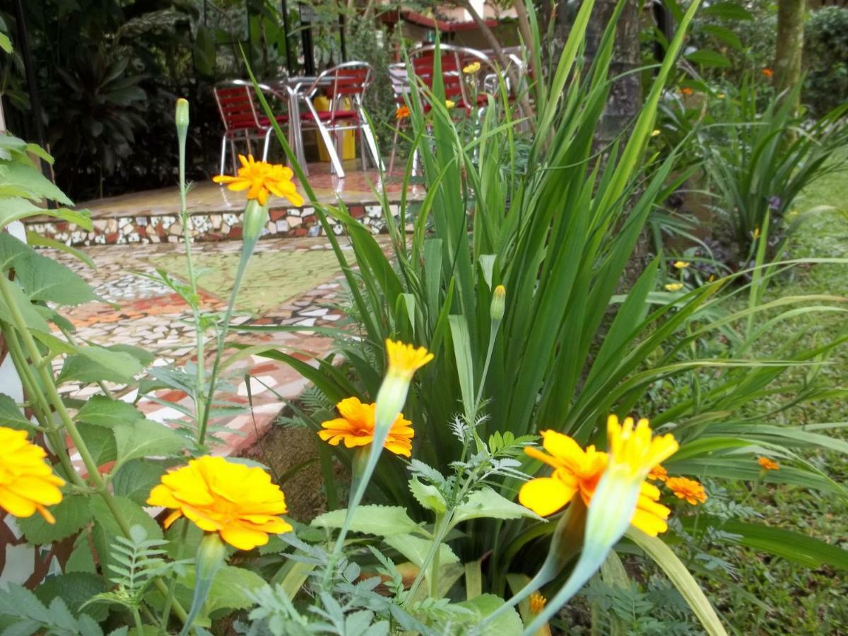 Hotel Tierra Del Fuego La Fortuna Δωμάτιο φωτογραφία